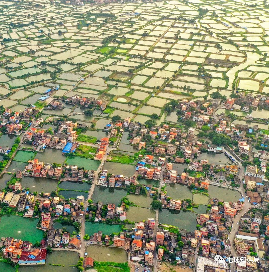 沿海人民是如何喂饱中国的?