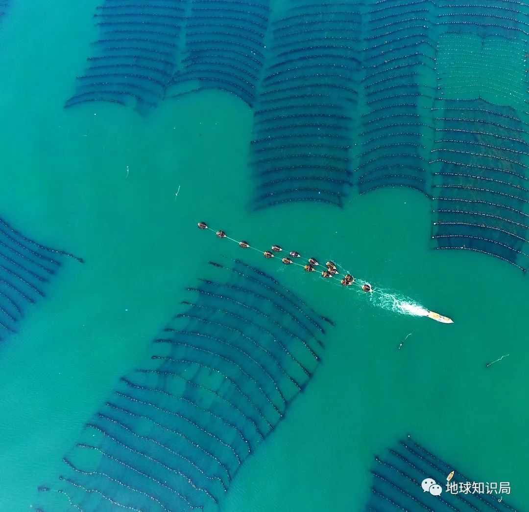 沿海人民是如何喂饱中国的?