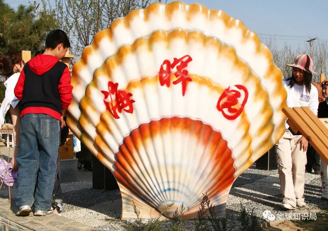 沿海人民是如何喂饱中国的?