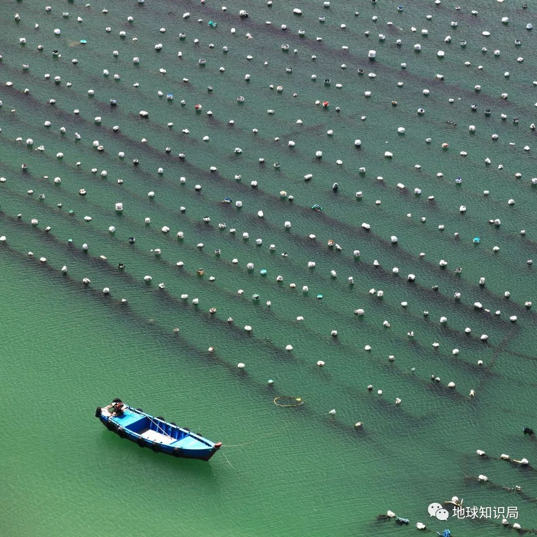 沿海人民是如何喂饱中国的?