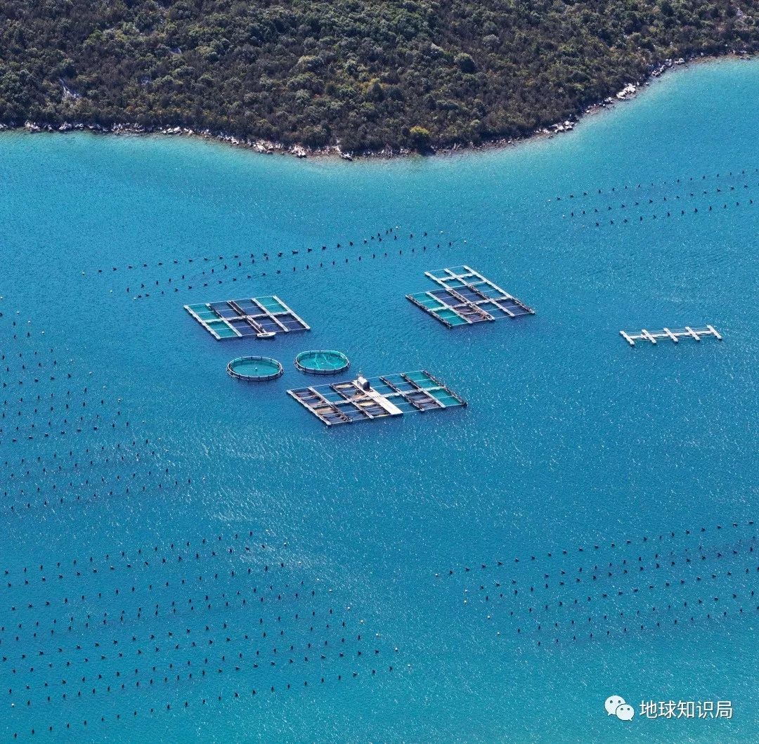 沿海人民是如何喂饱中国的?