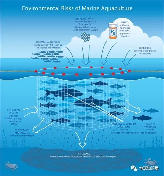 沿海人民是如何喂饱中国的?
