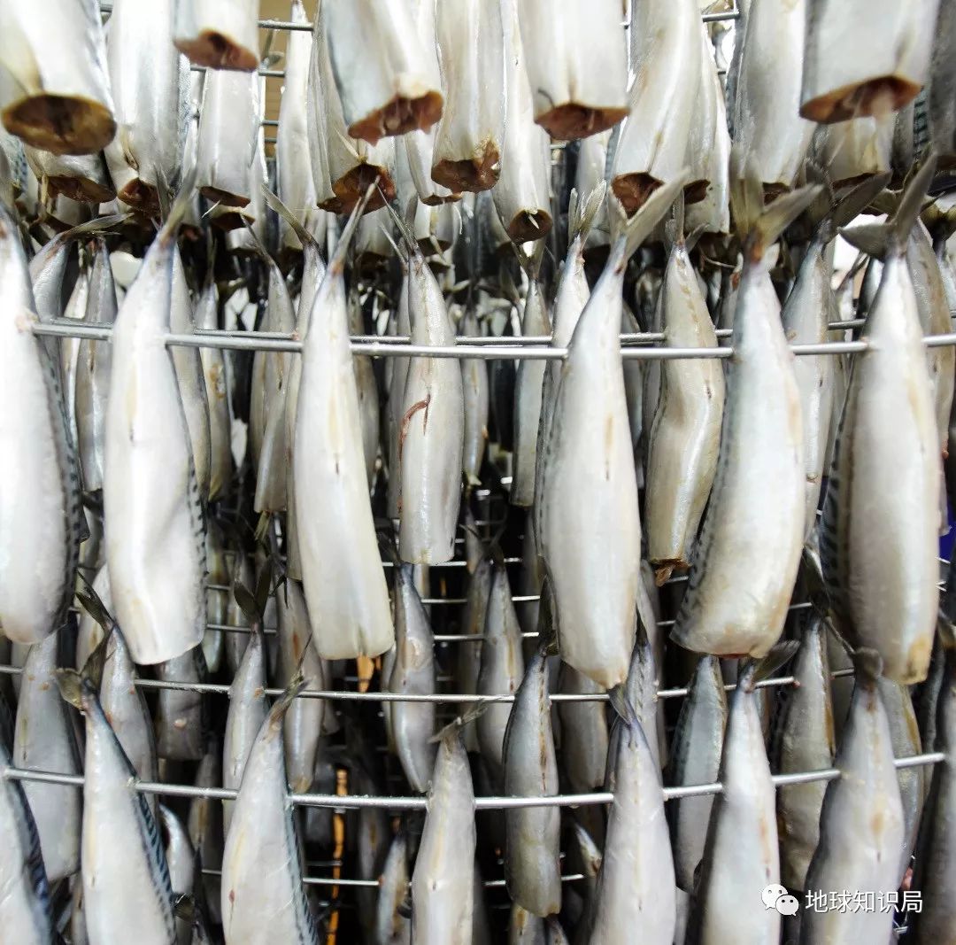 沿海人民是如何喂饱中国的?