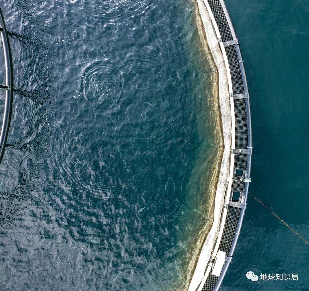 沿海人民是如何喂饱中国的?