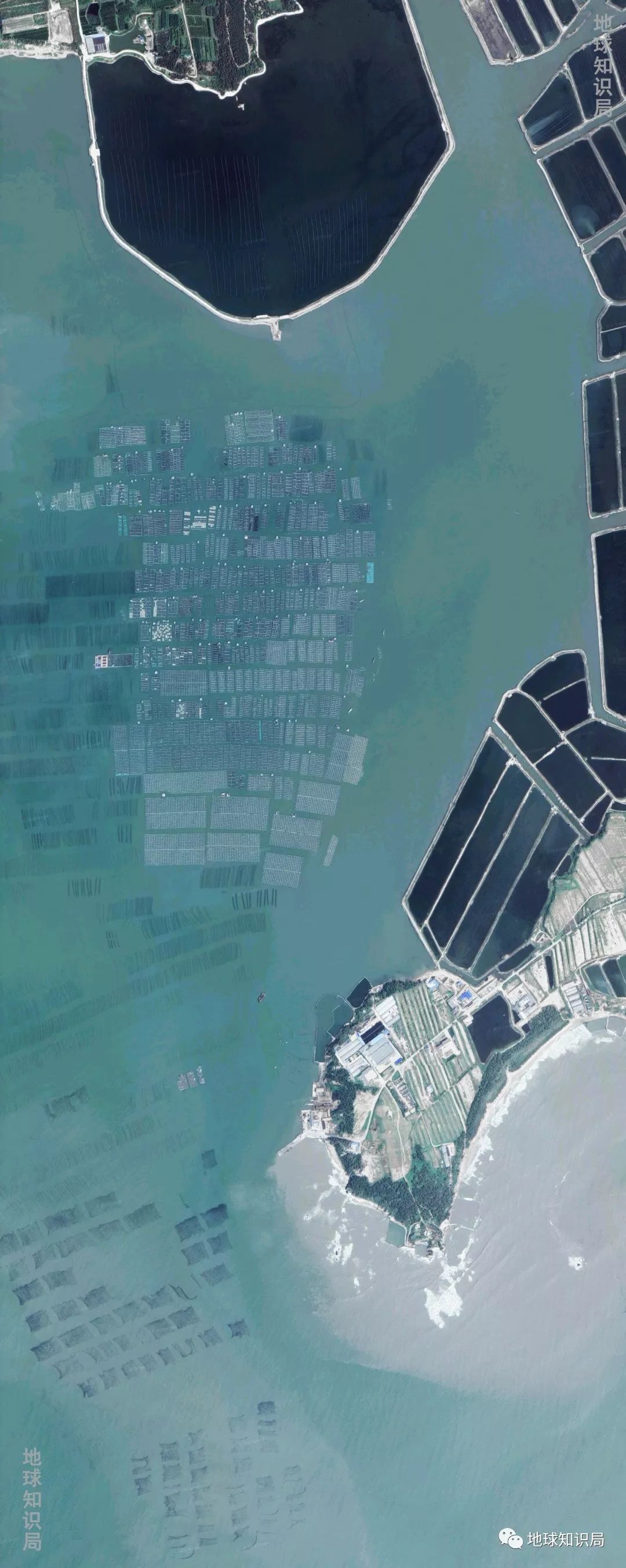 沿海人民是如何喂饱中国的?