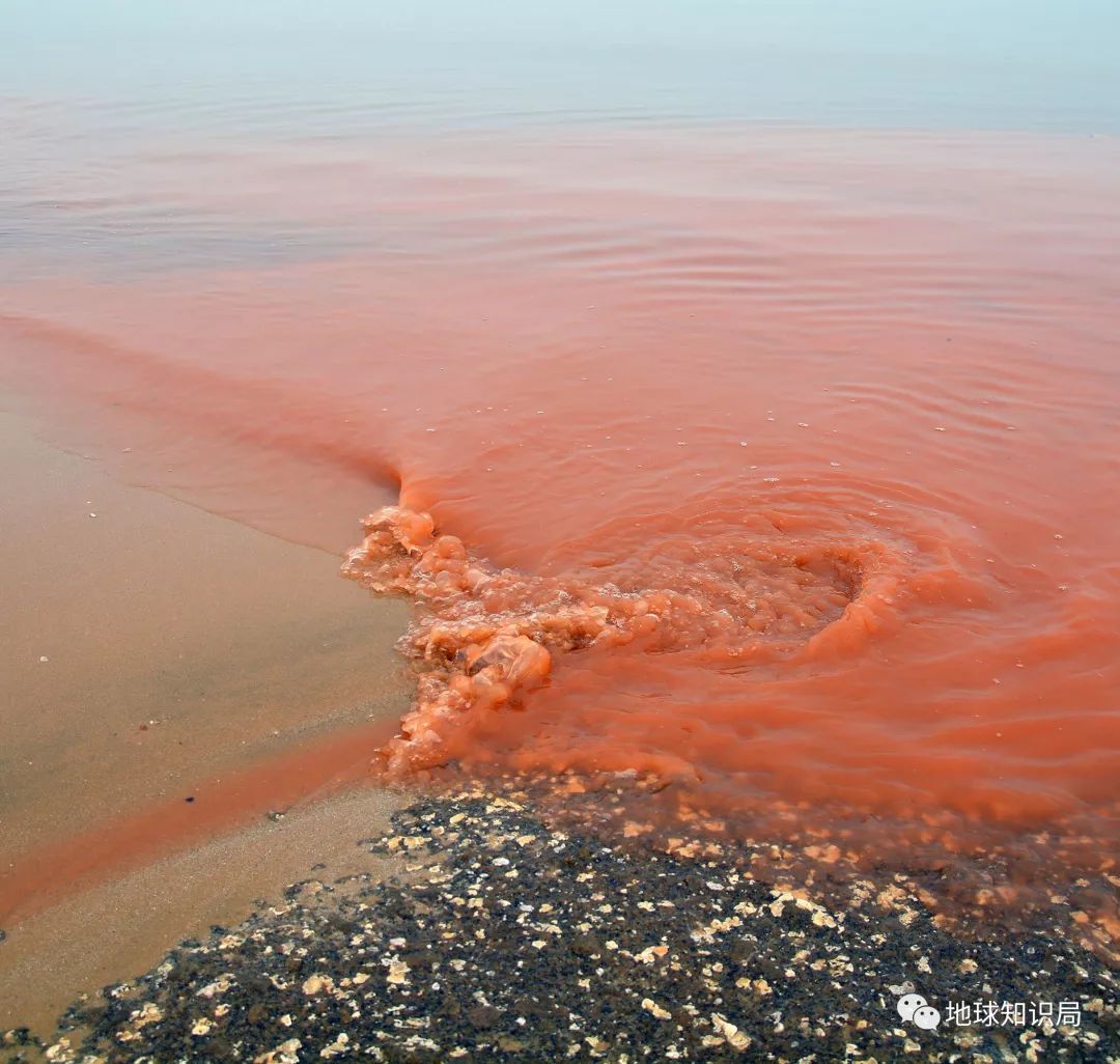 沿海人民是如何喂饱中国的?