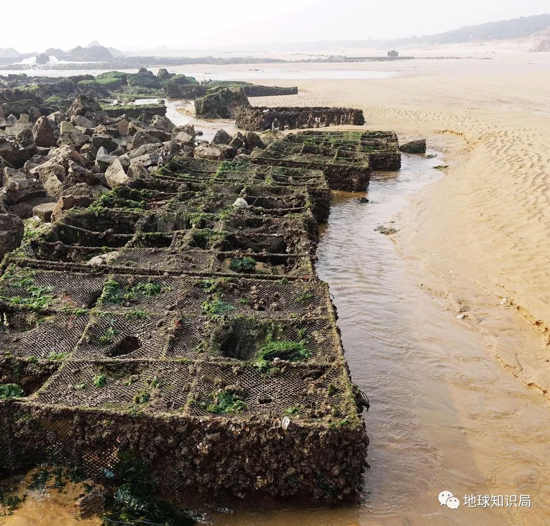 沿海人民是如何喂饱中国的?