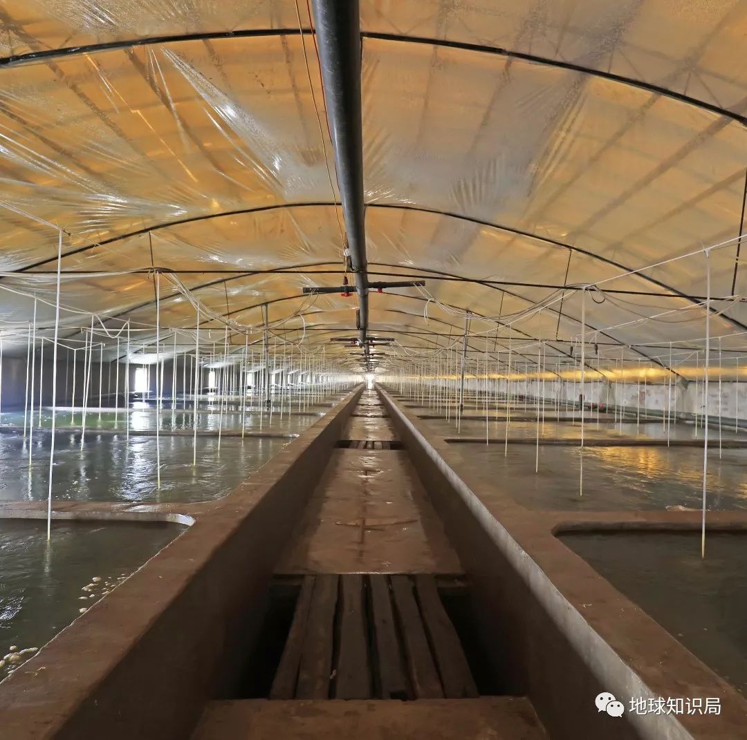 沿海人民是如何喂饱中国的?