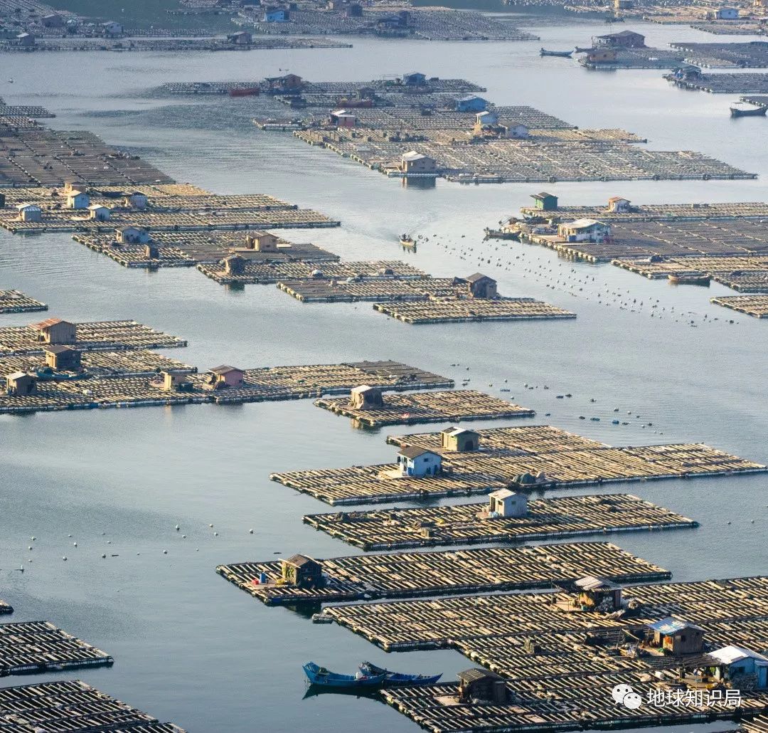 沿海人民是如何喂饱中国的?