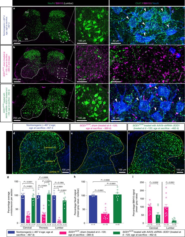 nature子刊癌症新突破,nature子刊人文社科