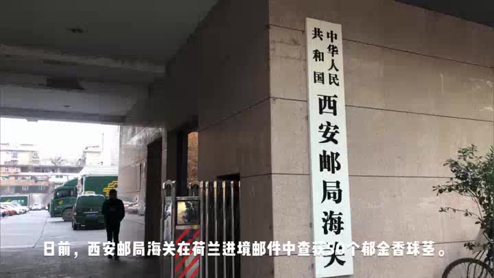 携带外国奶制品能否入境,出境可以带水果种子吗