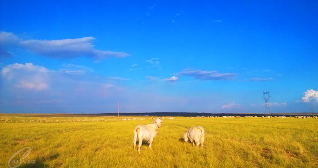 什么字大家都会念错了,这些字你读错了吗