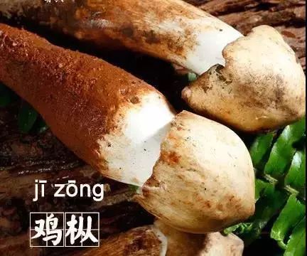 什么字大家都会念错了,这些字你读错了吗