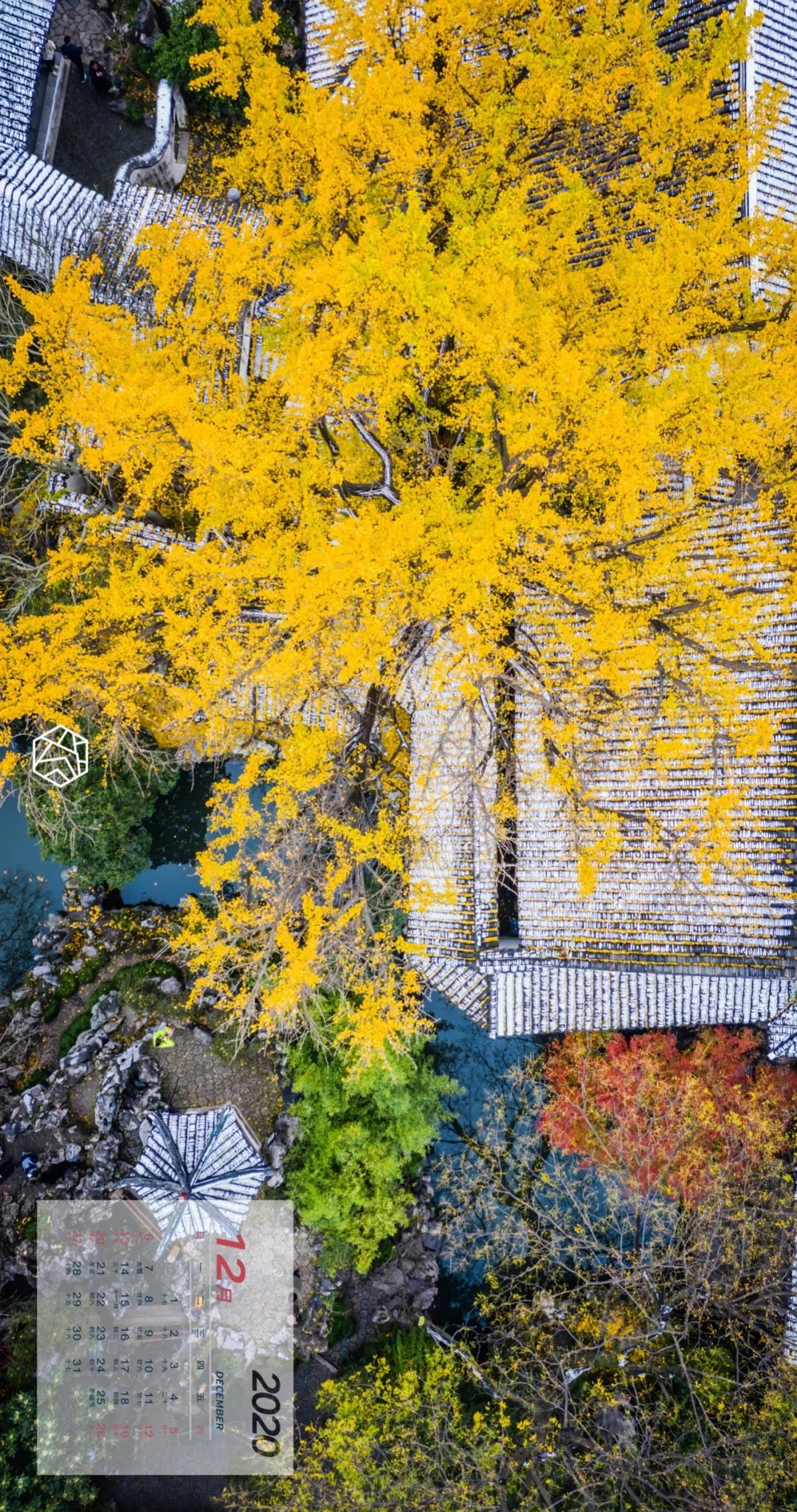 苏州绝美地点,苏州最美的一个区