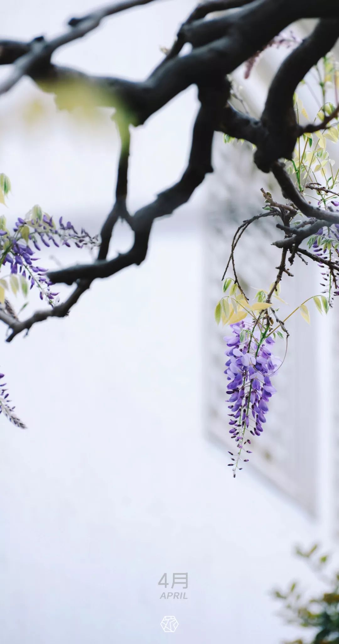 苏州绝美地点,苏州最美的一个区