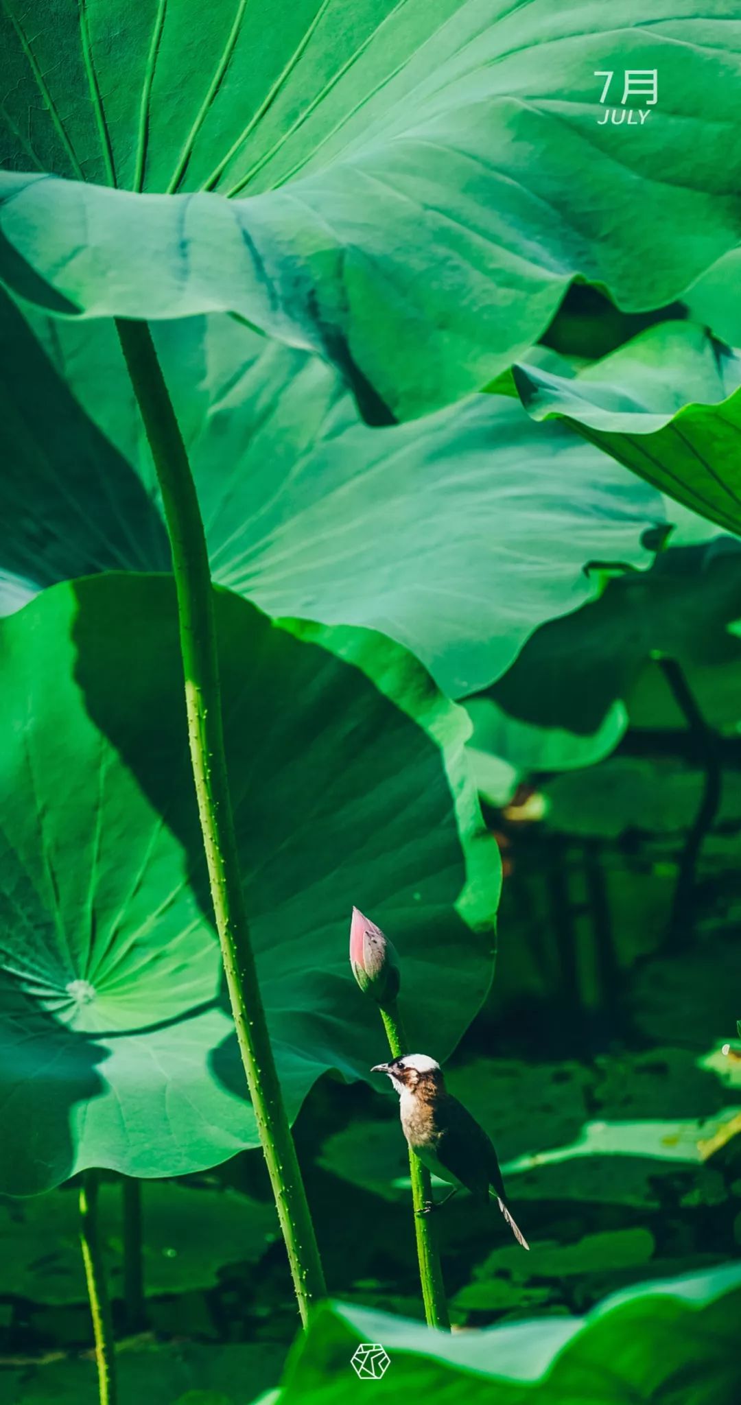 苏州绝美地点,苏州最美的一个区