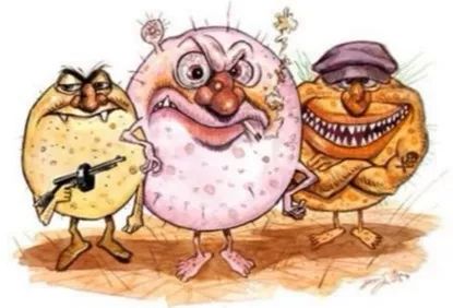 关于进口食品保质期的规定,进口食品保质期怎么看