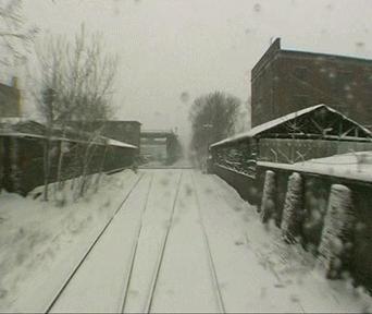 记录时代落水者的尊严，是东北文艺复兴的最大意义