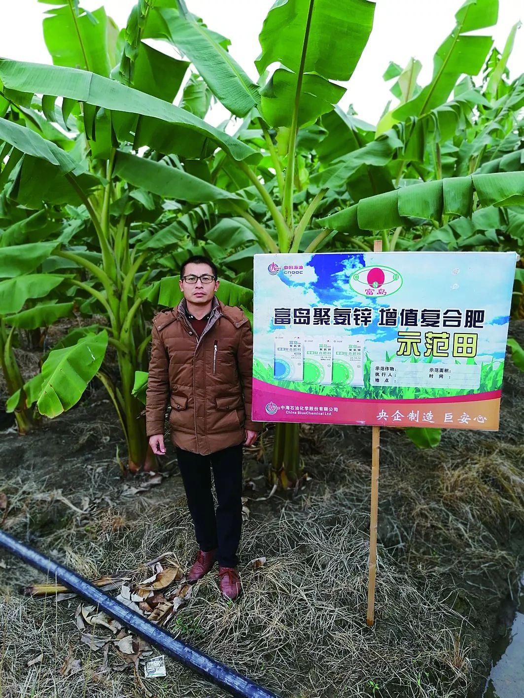 热点夏粮丰收品种升级作用凸显,热点农业高质量发展