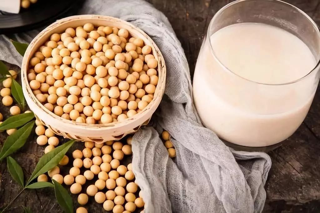 大宇全自动免煮豆浆机,大宇懒人破壁豆浆机