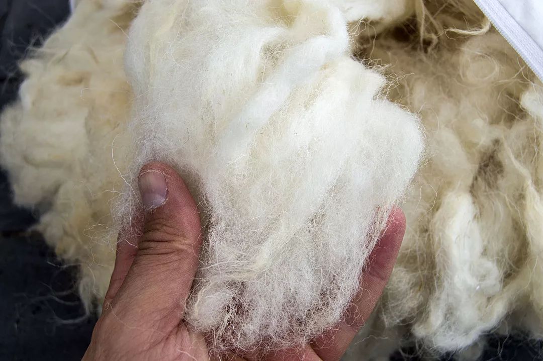 超黑科技“火山”被，薅光澳大利亚的羊毛，冷冬也能睡出“岩浆”热