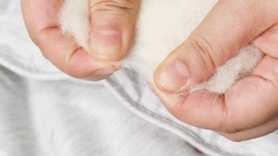 超黑科技“火山”被，薅光澳大利亚的羊毛，冷冬也能睡出“岩浆”热