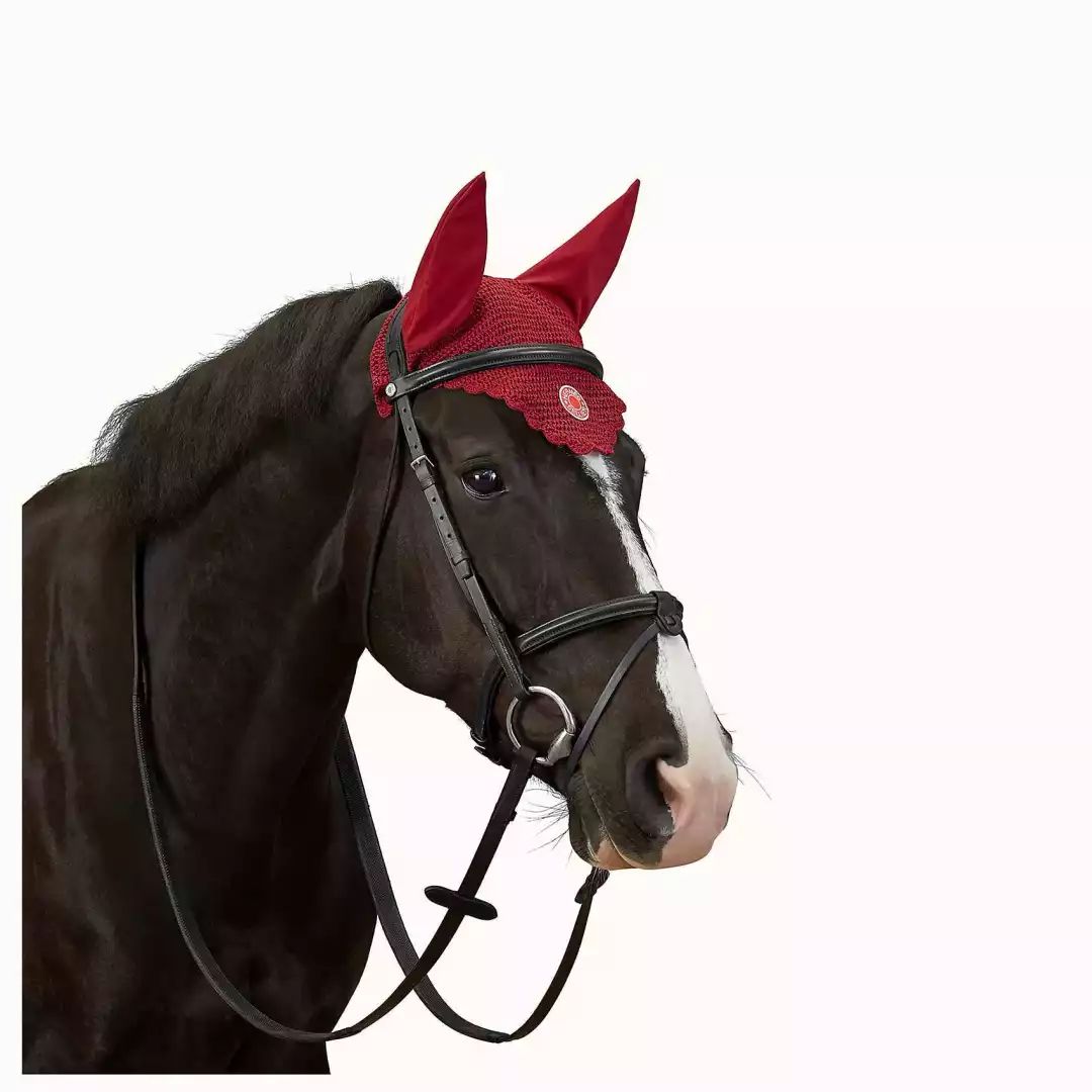 贵妇买包包,贵妇开箱爱马仕