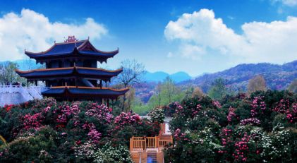 多彩妹抖音视频,多彩贵州大方