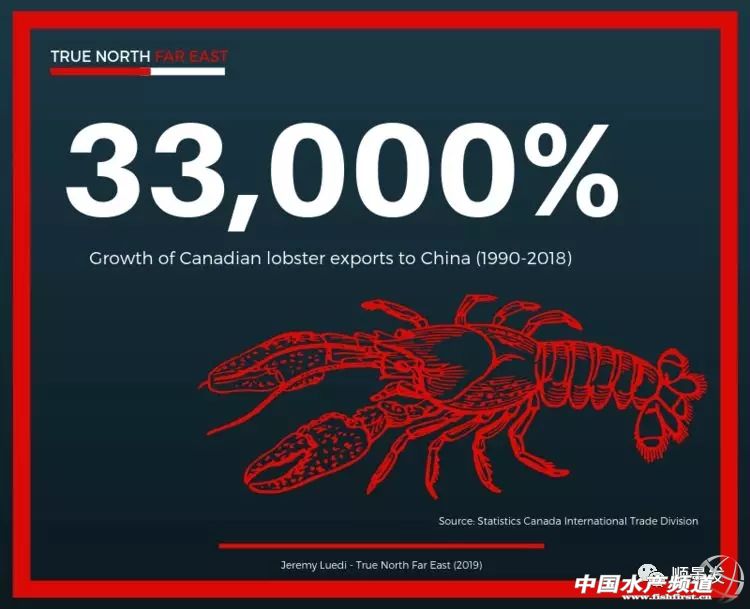 龙虾行业的发展,龙虾的发展历程