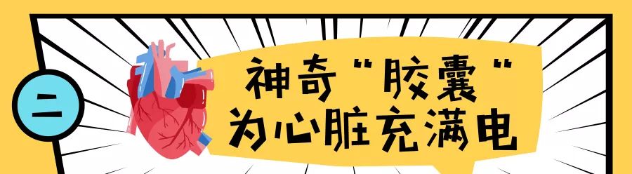 华西医院无导线心脏起搏器多少钱,人工心脏植入四川首例