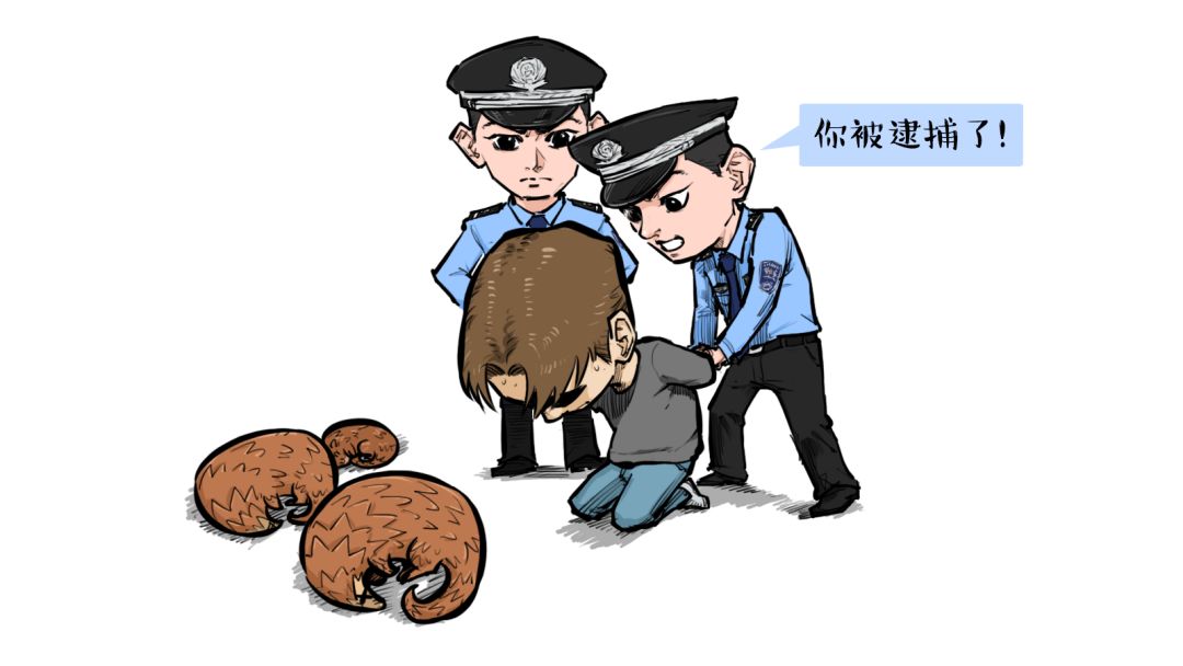 2019,你有被暖暖暖暖暖暖暖到吗?