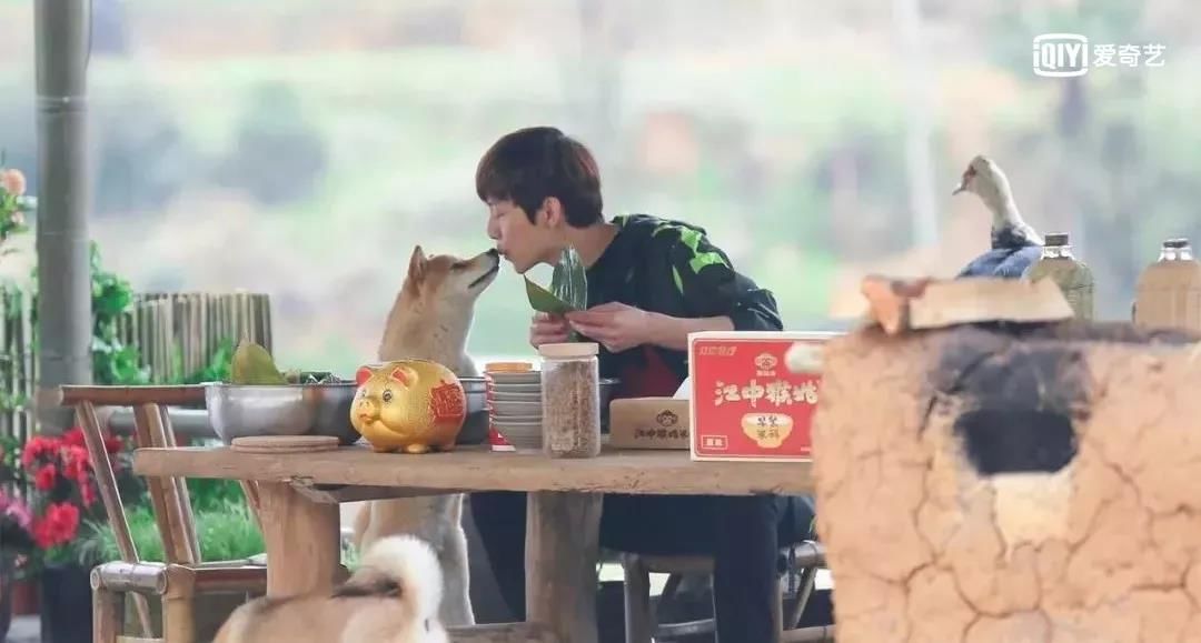 孔雀城的真实感受,孔雀城好楼盘推荐