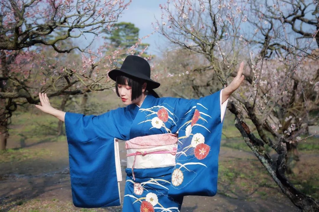 你有一份旅行指南,东京十五日游攻略