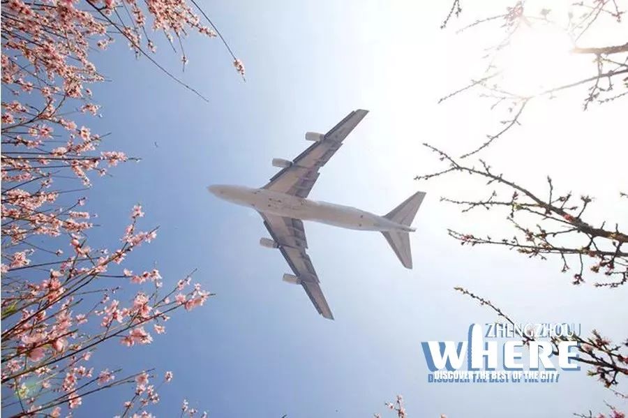 【双语】ConvenienttrafficmakesjourneytoZZeasier来郑州跨年,真中