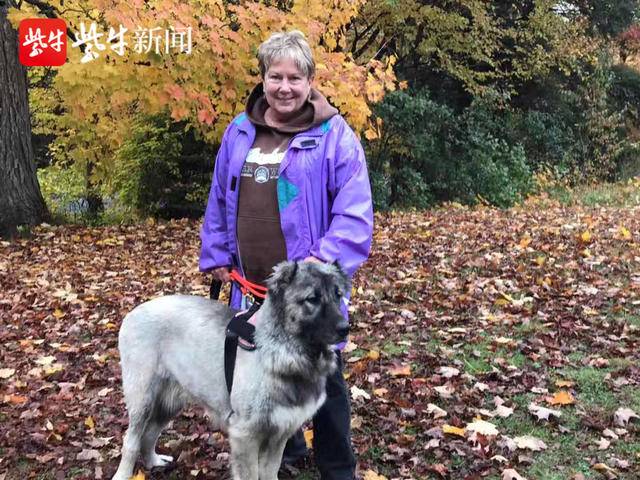 苏州小动物保护协会领养流程,苏州小动物保护协会救助