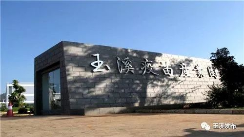 玉溪沃森13价疫苗,玉溪沃森是什么疫苗