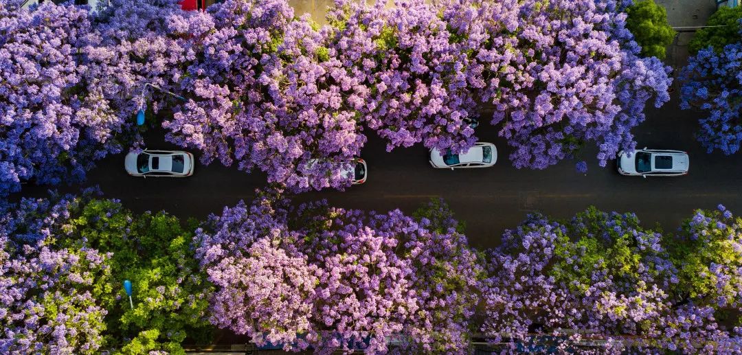 成都后花园独栋大别墅,成都后花园最火的地方