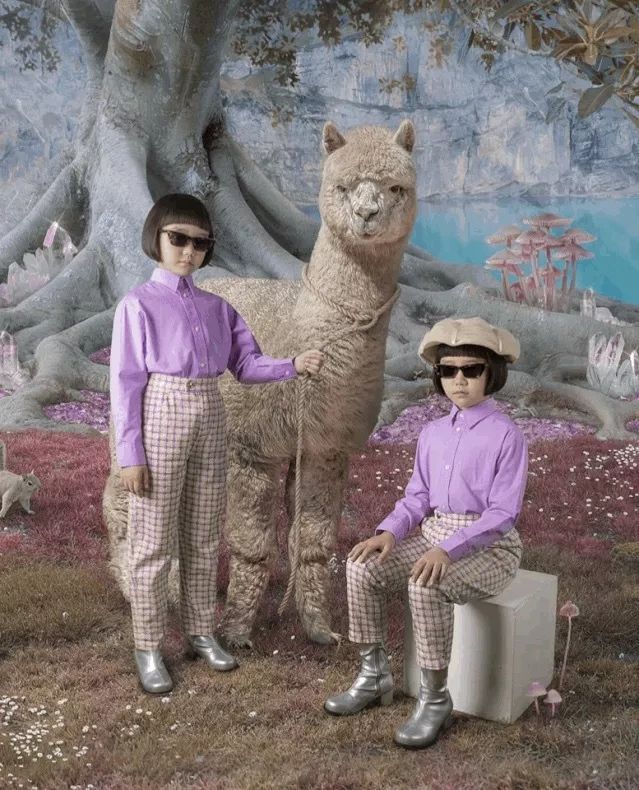 自古天才出少年,自古天才出少年文章