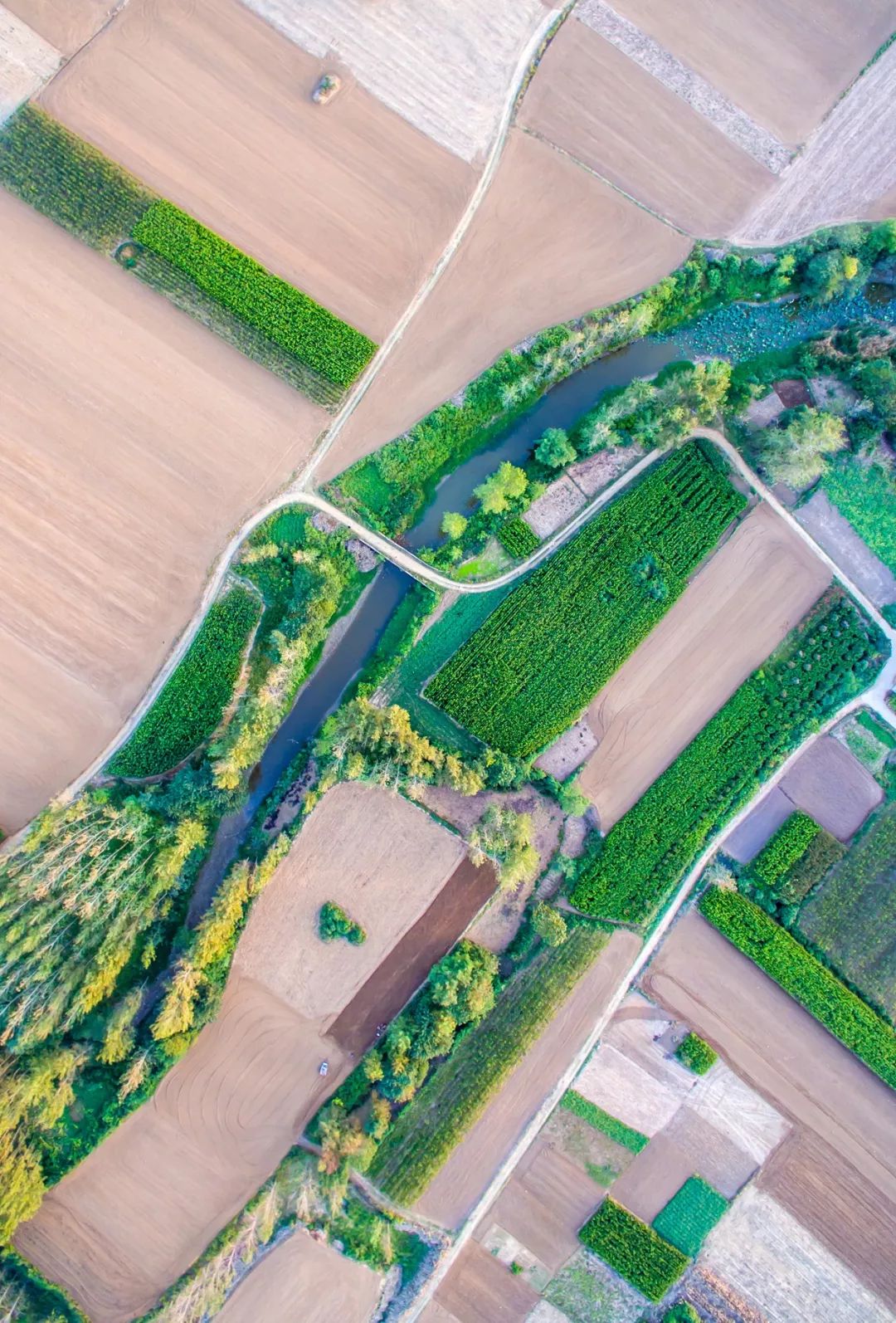 5000公里的国家,5000公里外看地球