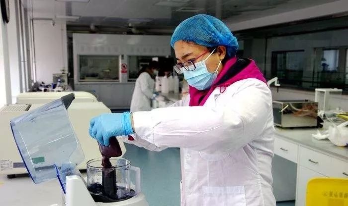 牛结节性皮肤病防控干货,一起来认识全身经络