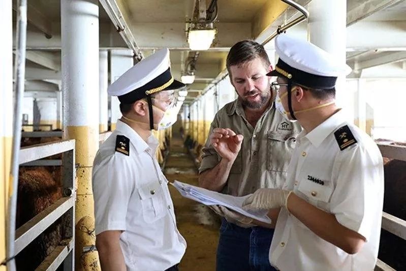 牛结节性皮肤病防控干货,一起来认识全身经络