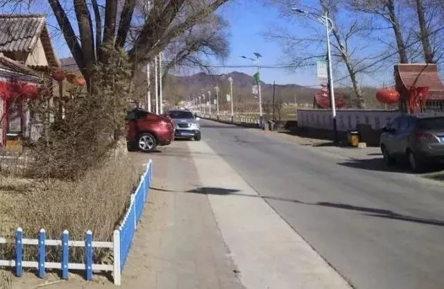 “萌婶儿”和小庙子村的故事