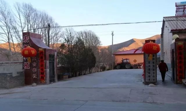 “萌婶儿”和小庙子村的故事