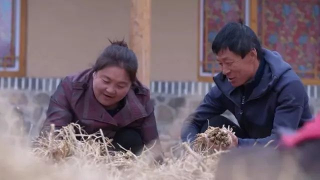 “萌婶儿”和小庙子村的故事