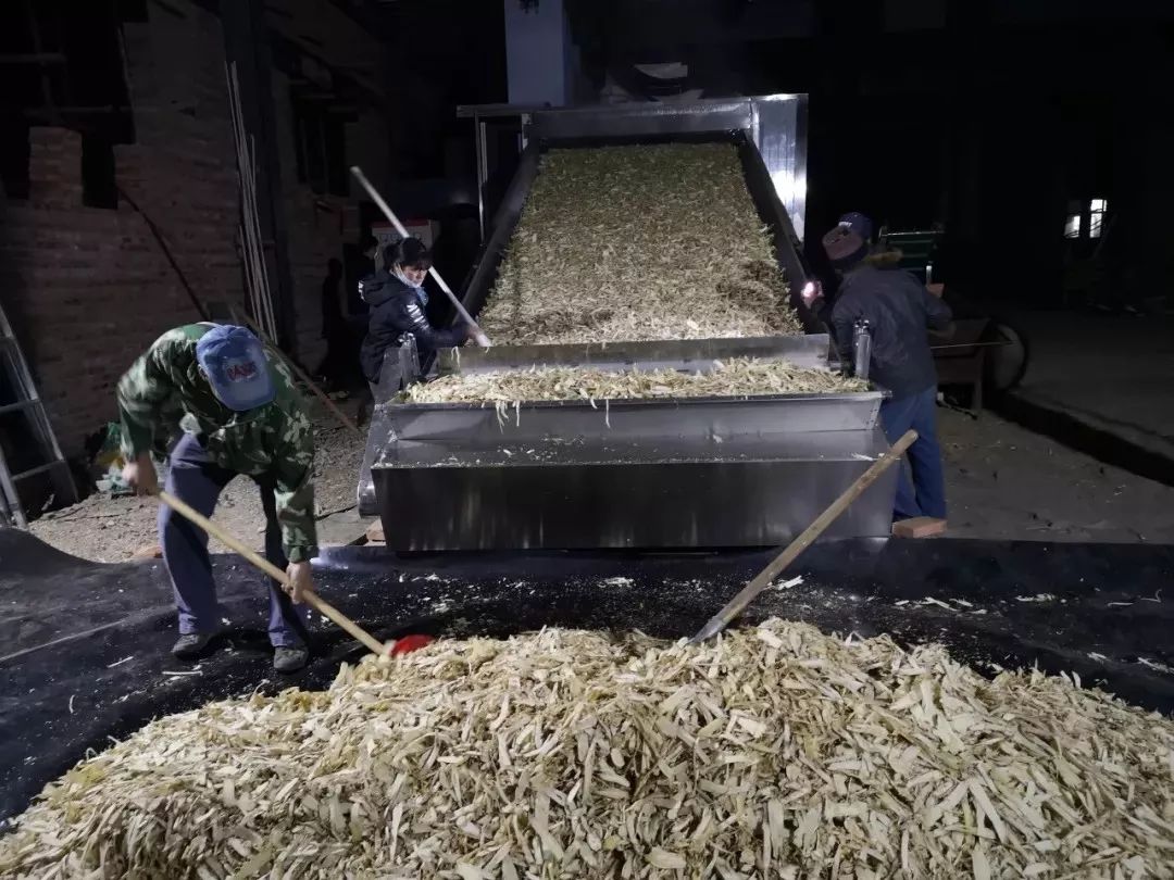 “萌婶儿”和小庙子村的故事