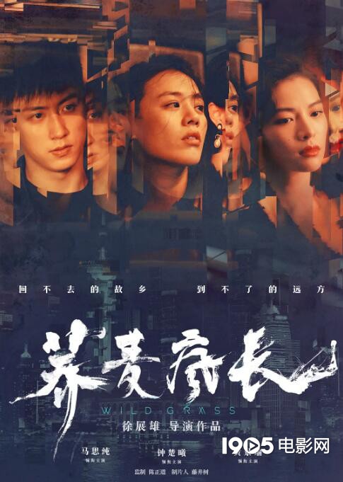 十大2020必看华语电影,2020年10大必看华语电影