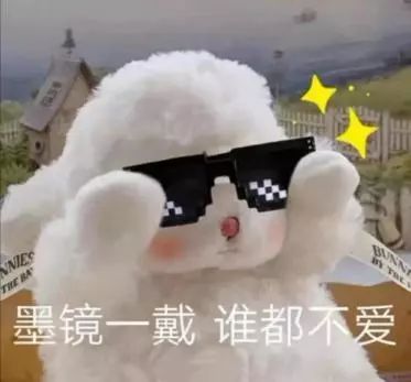 好看实用的高光,又大又实用的高光