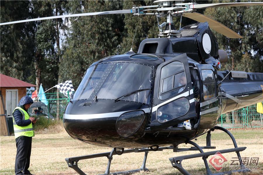 来海洋公园感受快乐,海埂公园白天好玩还是晚上好玩