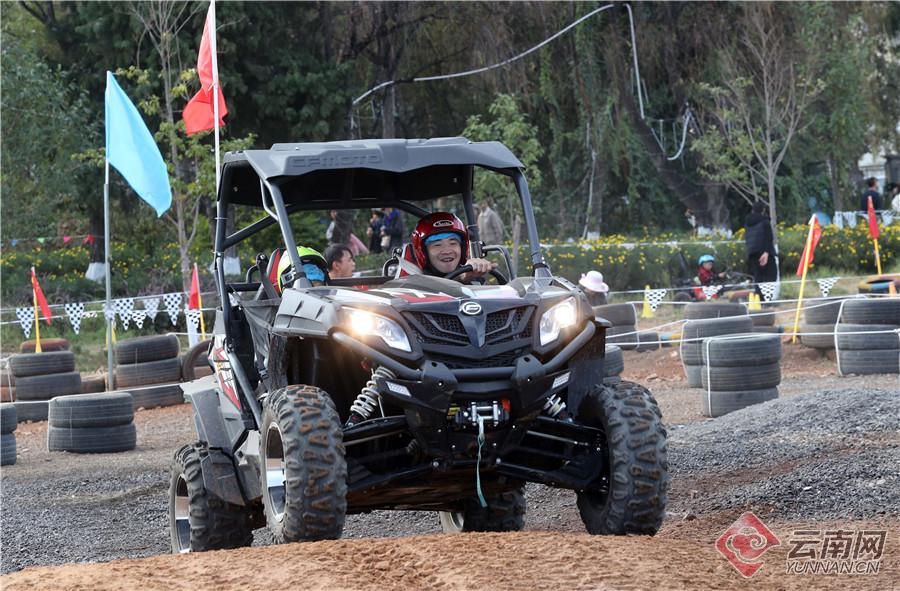 来海洋公园感受快乐,海埂公园白天好玩还是晚上好玩