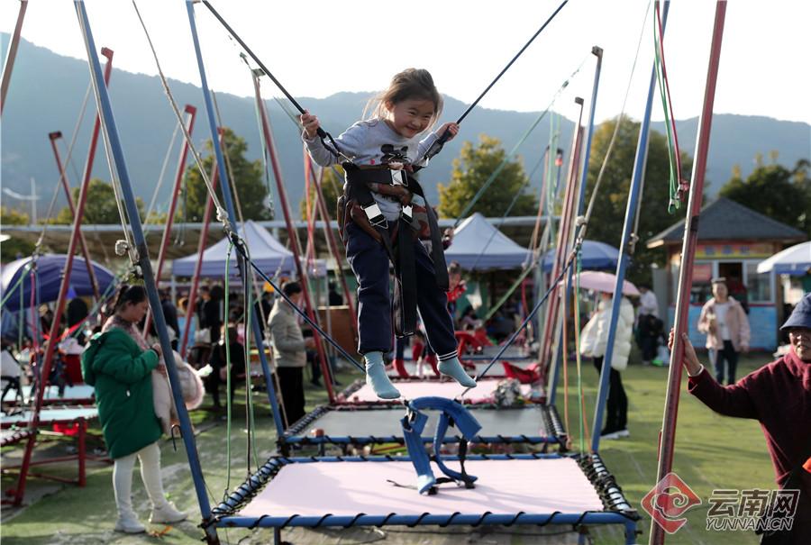 来海洋公园感受快乐,海埂公园白天好玩还是晚上好玩